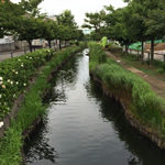 Canal